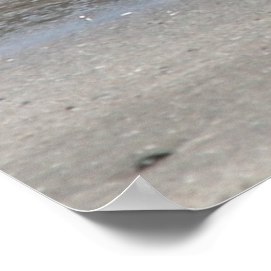 Poster Tsunami Harry (Coin)