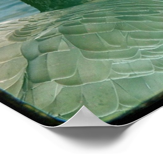 Poster TTV Canada Goose (Coin)