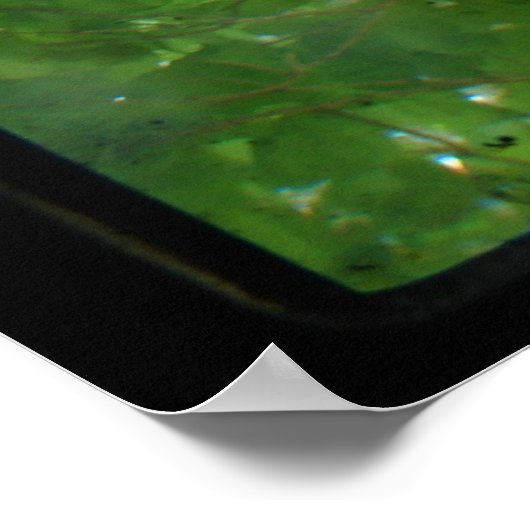 Poster TTV feuille (Coin)