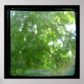 Poster TTV feuille (Devant)