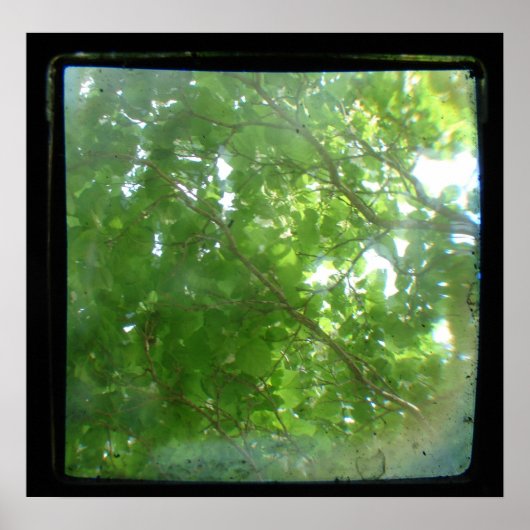 Poster TTV feuille (Devant)