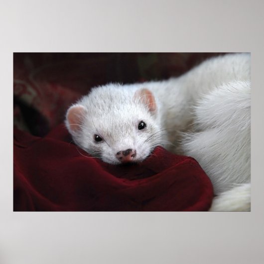 Poster Tu chantais est bien... (Devant)