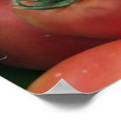 Poster Tu dis Tomate (Coin)