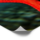 Poster Tu es une Superstar ! (Coin)