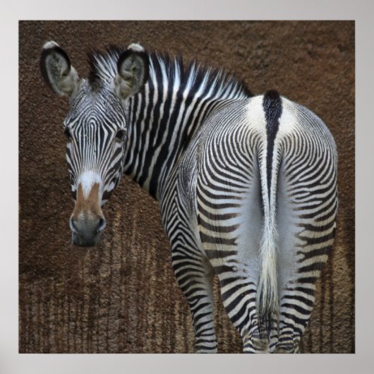 Poster Tu Me Regarde ? (Devant)