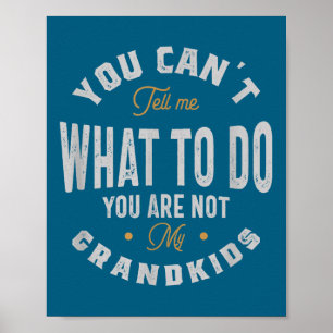 Poster Tu ne peux pas me dire quoi faire, tu n'es pas mes