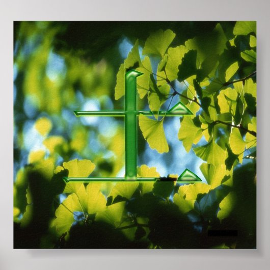 Poster Tu (terre) (Devant)