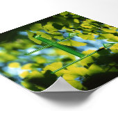 Poster Tu (terre) (Coin)