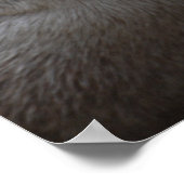 Poster Tu Veux Dire Qu'Un Monde D'Otter Pour Moi Otters A (Coin)