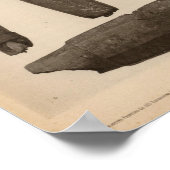 Poster Tubes en pierre IX, So Calif (Coin)