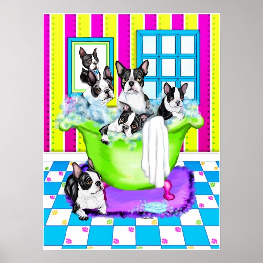 Poster Tubes Terrier de Boston Full (Devant)