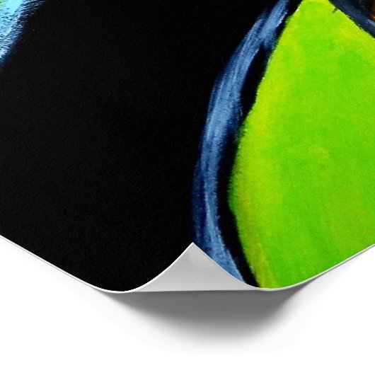Poster Tucan Closeup (Coin)