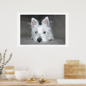 Poster Tucker (Cuisine)