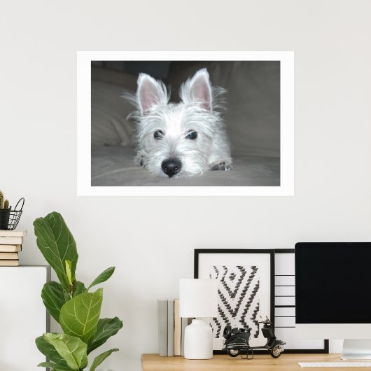 Poster Tucker (Bureau à domicile)