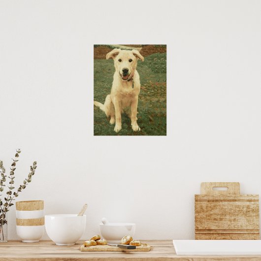 Poster Tucker (Cuisine)