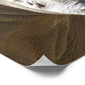 Poster Tuff Stuff (Coin)