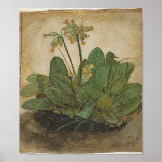 Poster Tuft of Cowslips par Albrecht Durer (Devant)