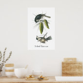Poster Tufted Titsouris, John Audubon (Cuisine)