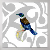Poster Tui NZ Bird (Devant)