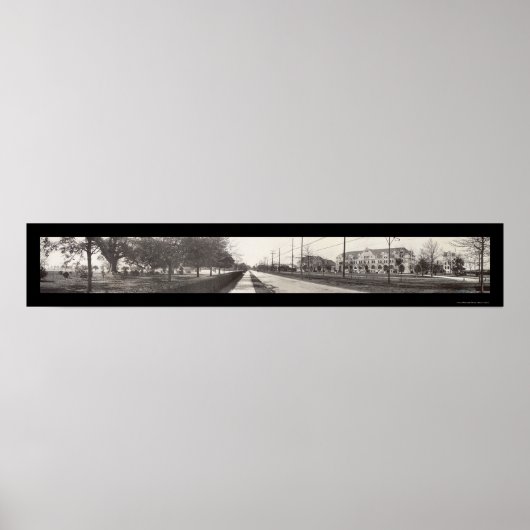 Poster Tulane Nouvelle-Orléans Photo 1910 (Devant)