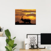 Poster Tule Elk | Côte nationale Point Reyes (Bureau à domicile)