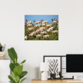 Poster Tule Elk| Point Reyes National Seashore, CA (Bureau à domicile)