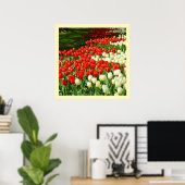 Poster Tulières rouges et blanches (Bureau à domicile)