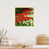 Poster Tulières rouges et blanches (Cuisine)