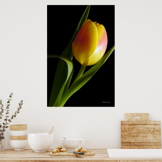 Poster Tulip (Cuisine)