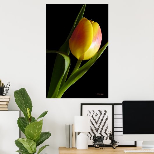 Poster Tulip (Bureau à domicile)