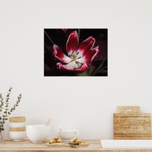 Poster Tulip (Cuisine)