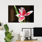Poster Tulip (Bureau à domicile)