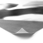 Poster Tulip (Coin)