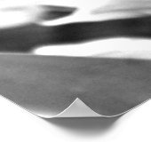 Poster Tulip Art (Coin)