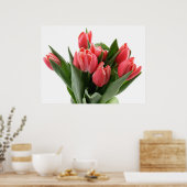Poster Tulip Bouquet (Cuisine)