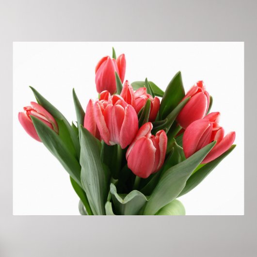 Poster Tulip Bouquet (Devant)