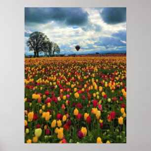 Poster Tulip Farm