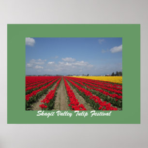 Poster Tulip Festival, Skagit Valley Tulip Festival