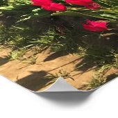 Poster Tulip Field with Kite (Coin)