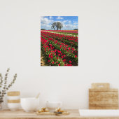 Poster Tulip Field with Kite (Cuisine)