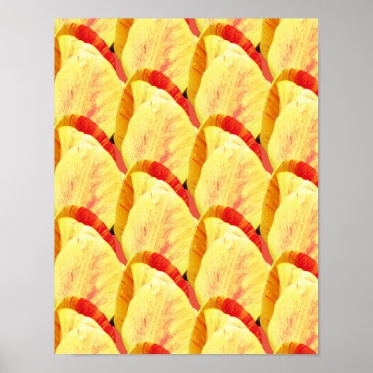 Poster Tulip Flowers Motif (Devant)