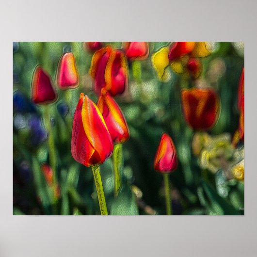Poster Tulip Garden Texté (Devant)