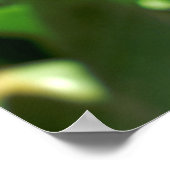 Poster Tulip Heaven (Coin)