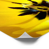 Poster Tulip Jaune (Coin)