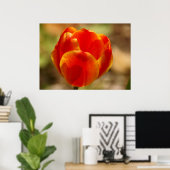 Poster Tulip Orange (Bureau à domicile)
