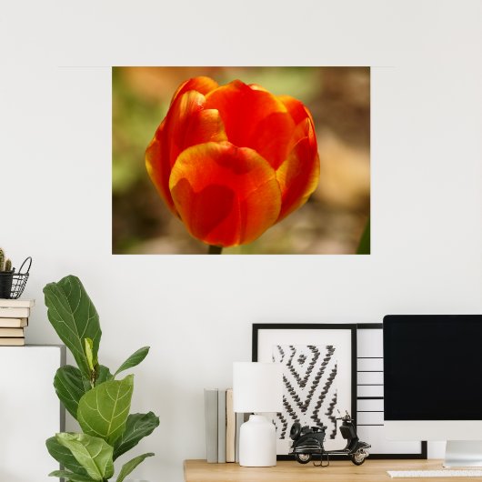 Poster Tulip Orange (Bureau à domicile)