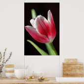 Poster Tulip paisible (Cuisine)