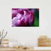 Poster Tulip Petals (Cuisine)