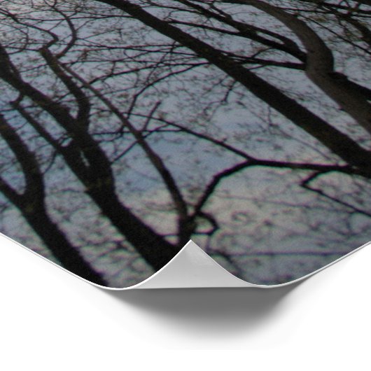 Poster Tulip peupliers Ciel bleu nuageux (Coin)