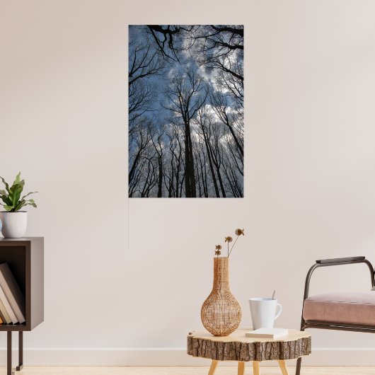 Poster Tulip peupliers Ciel bleu nuageux (Salon 3)